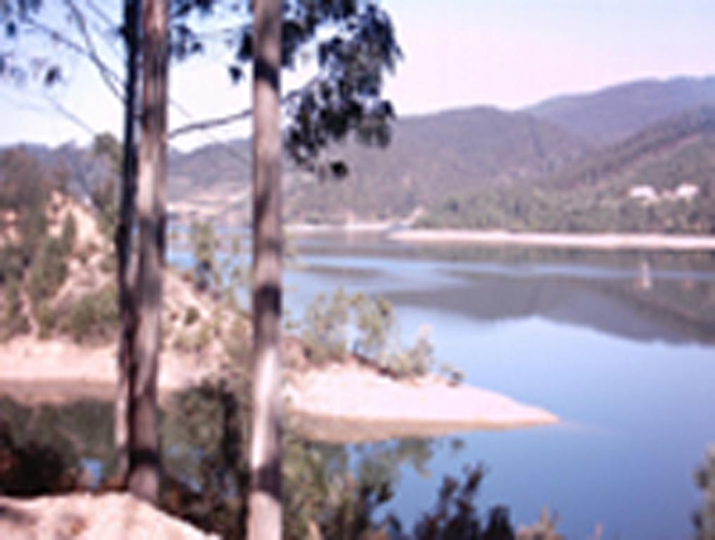 Chão da Lousa Dornes Exterior foto