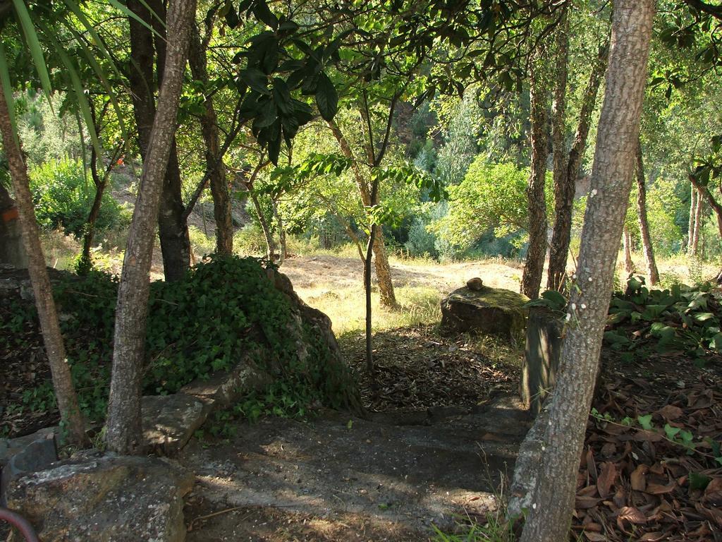 Chão da Lousa Dornes Exterior foto
